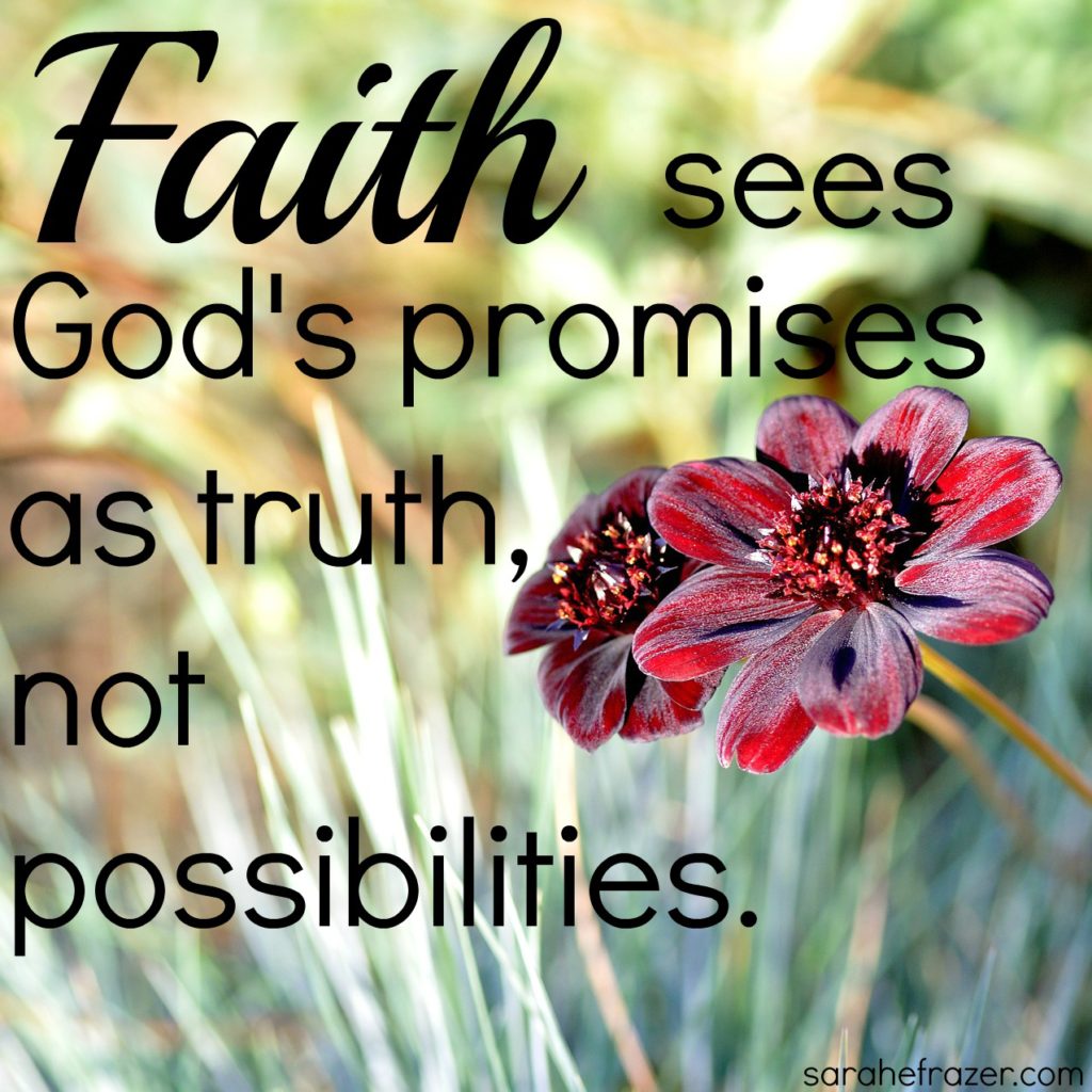 Faith sees God's promises