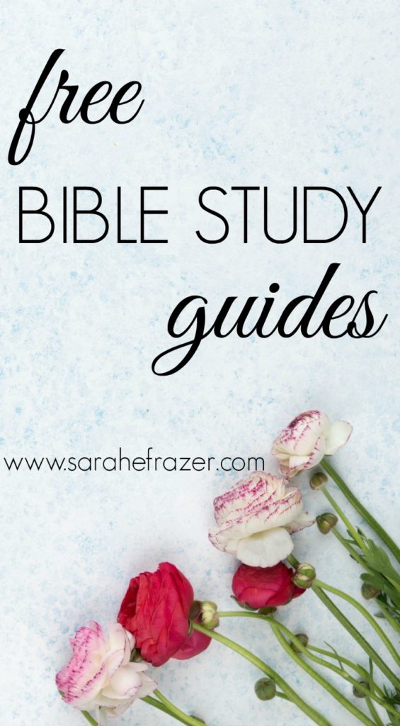 online bible study guide