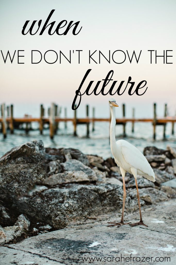 Part 2} When We Don't Know the Future - Sarah E. Frazer