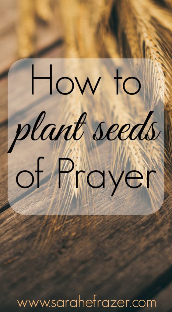 Planting The Seed Of Christ