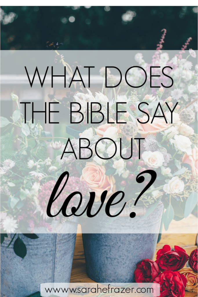 True Love Bible Reading Plan Sarah E. Frazer