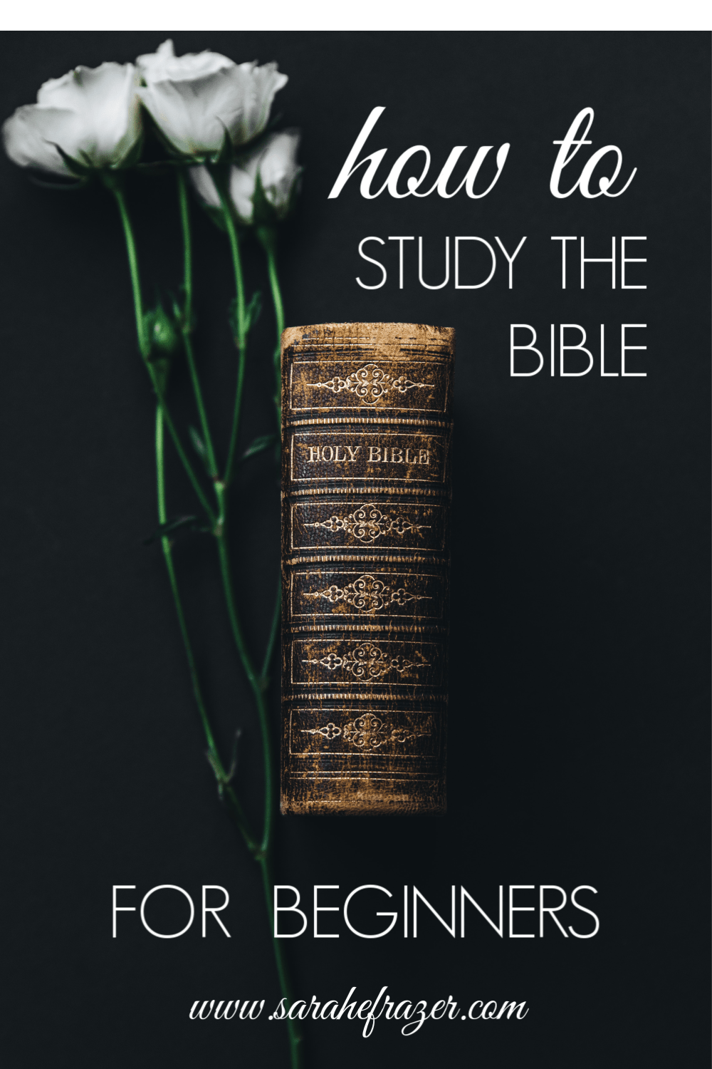 How To Study The Bible For Beginners Staying Focused Sarah E Frazer