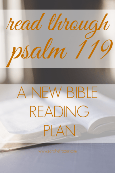 A Bible Reading Plan for Psalm 119 - Sarah E. Frazer