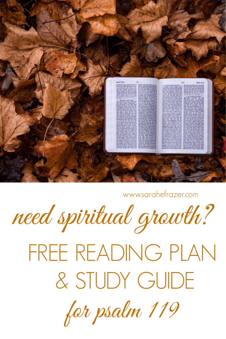 A Bible Reading Plan for Psalm 119 - Sarah E. Frazer