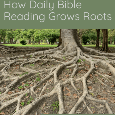 How Daily Bible Reading Grows Roots