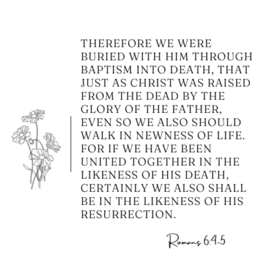 Beautiful Bible Verses for Spring