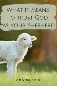 photo of a sweet white lamb in a field with text overlay "what it means to trust God as your shepherd"