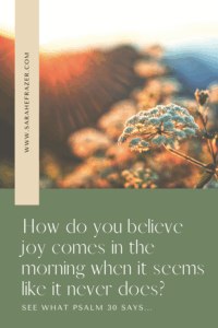 On a picture of a queen anne's lace flower at golden hour a text box reads: How do we believe joy comes in the morning when it seems like it never does?