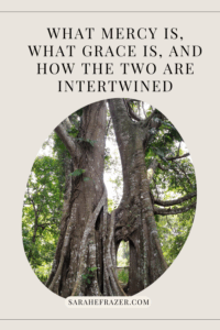 Mercy, grace and how the two are intertwined with photo of two trees whose roots and trunks have grown together