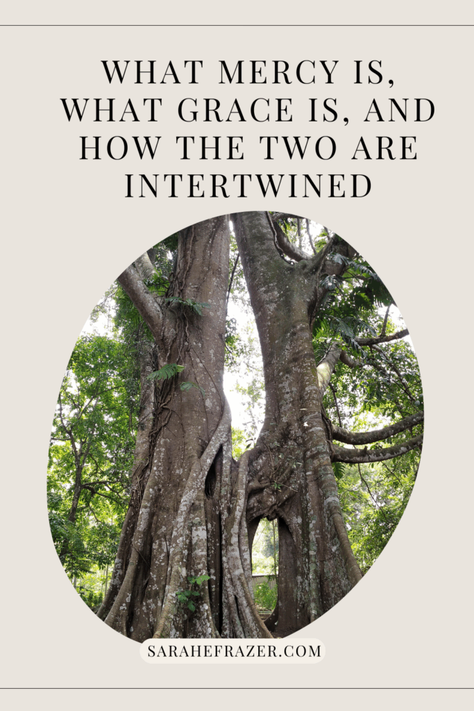 Mercy, grace and how the two are intertwined with photo of two trees whose roots and trunks have grown together