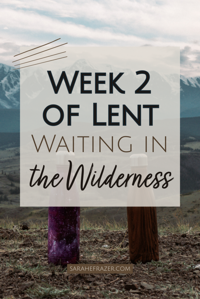 Week 2 of Lent devo with two water bottles in the wilderness near a mountain