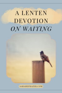 lenten devotion on waiting with bird on a fence post at dusk
