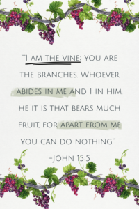 I am the vine Bible verse quote about abiding with watercolor grapevine border