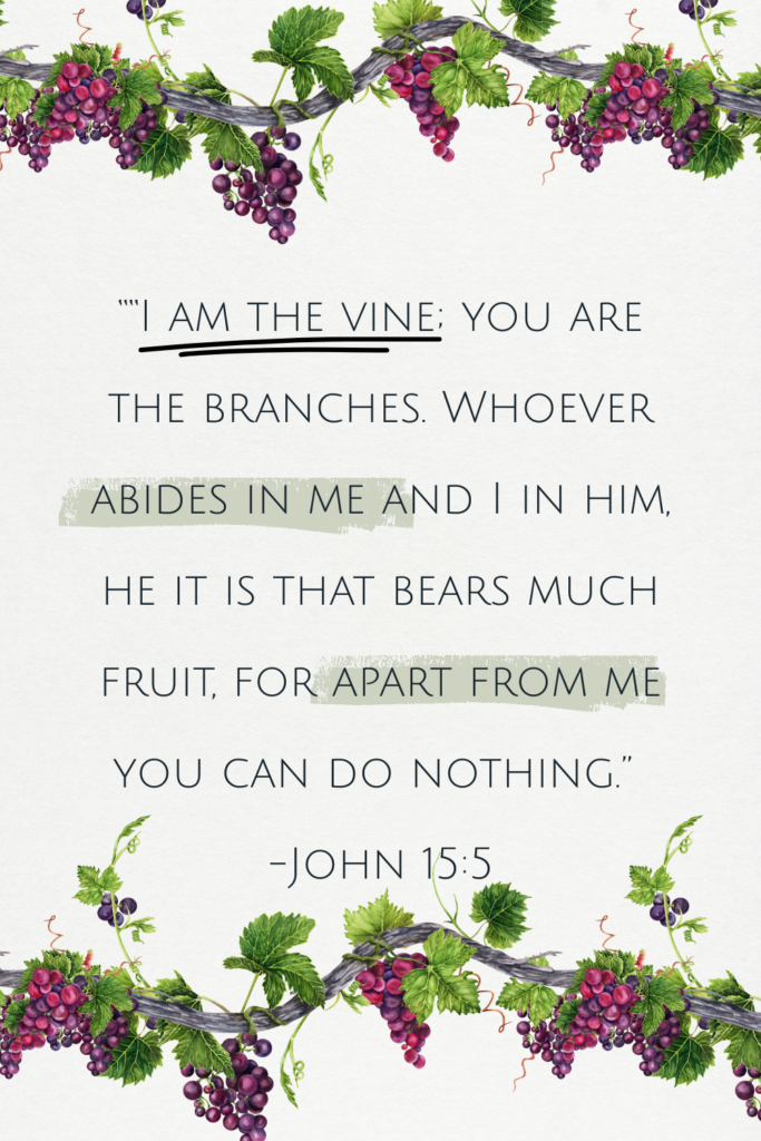 I am the vine Bible verse quote about abiding with watercolor grapevine border