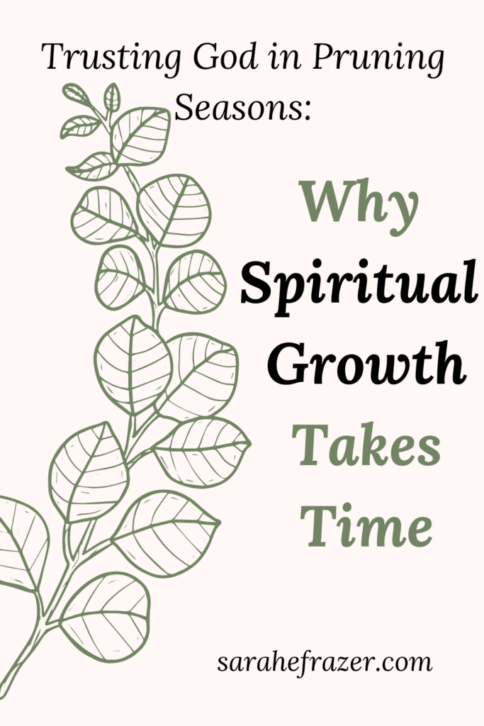 graphic of a vining plant with text: Why spiritual growth takes time: trusting God in pruning seasons