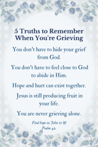 5 Truths When Grieving graphic with blueberries, checkered pattern and quotes