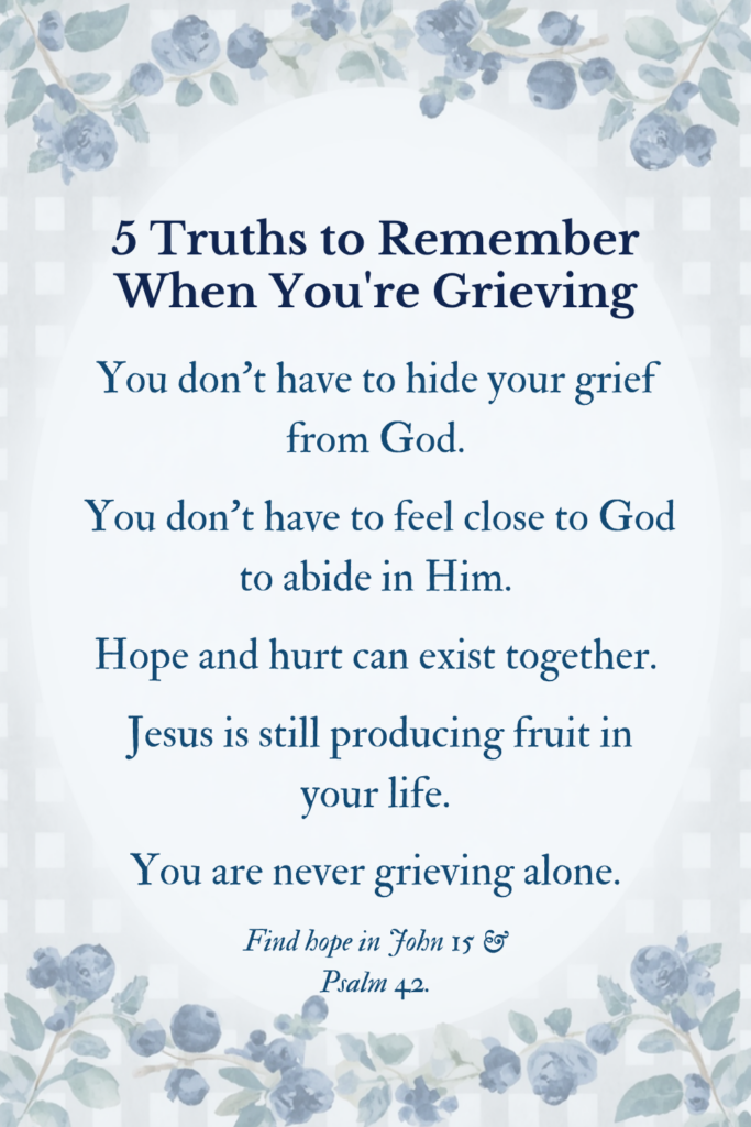 5 Truths When Grieving graphic with blueberries, checkered pattern and quotes