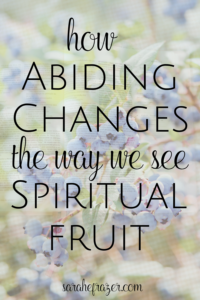 how abiding changes the way we see spiritual fruit in large text with background image of blueberries on the bush