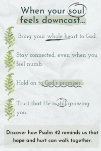 when your soul feels downcast graphic image with watercolor ferns and doodles