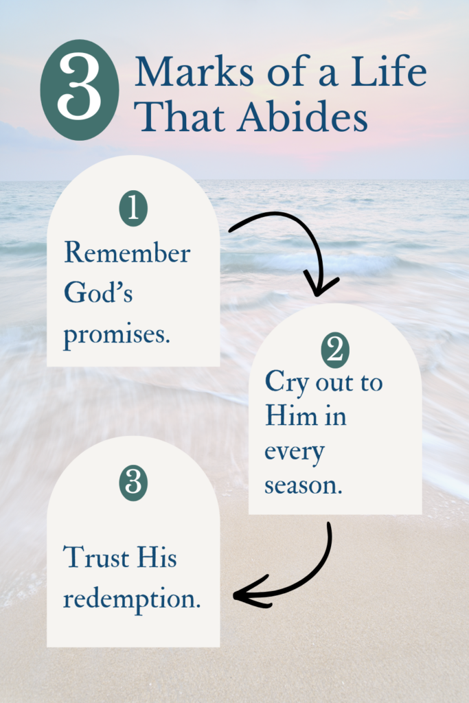 3 marks of a life that abides infographic image with 3 text boxes and ocean scene in the background