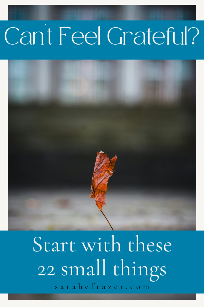 a small red leaf falls on a sidewalk with text overlay: Can't feel grateful? Start with these 22 small things