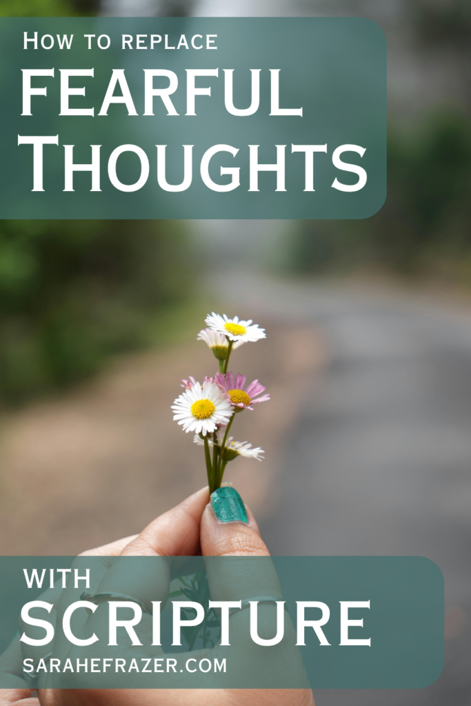 tiny wildflowers held aloft by two fingers. Text overlay reads: how to fight fearful thoughts with Scripture