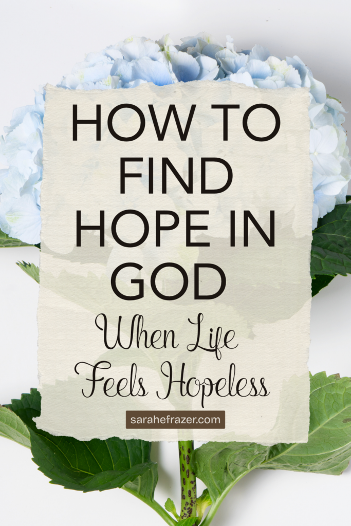 a stylized photo of a hydrangea in background with text overlay reading how to find hope in god when life feels hopeless
