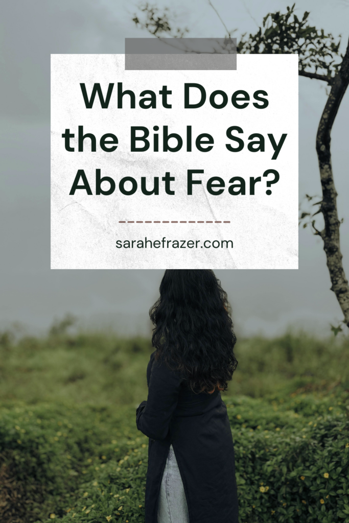 woman with long dark hair looks into a misty field. Text overlay reads: What does the Bible say about fear?